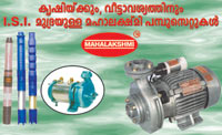 Mahalakshmi Pumps